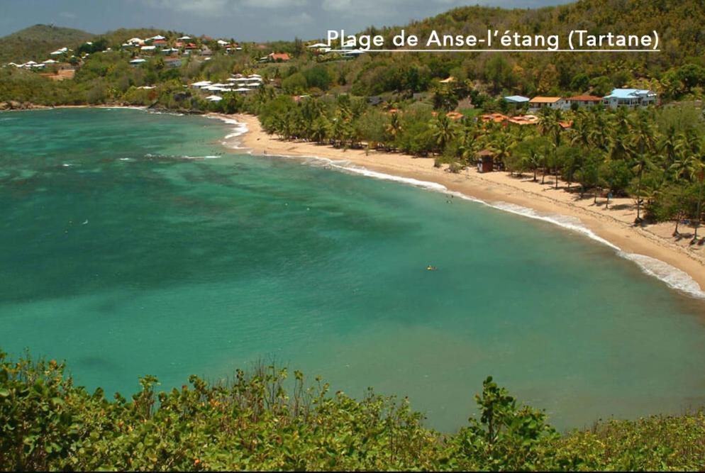 F3 Hibiscus - Piscine Chauffee - Vue Mer - 9 Min De La Plage - Ti Zwezo Paradi La Trinité Zewnętrze zdjęcie