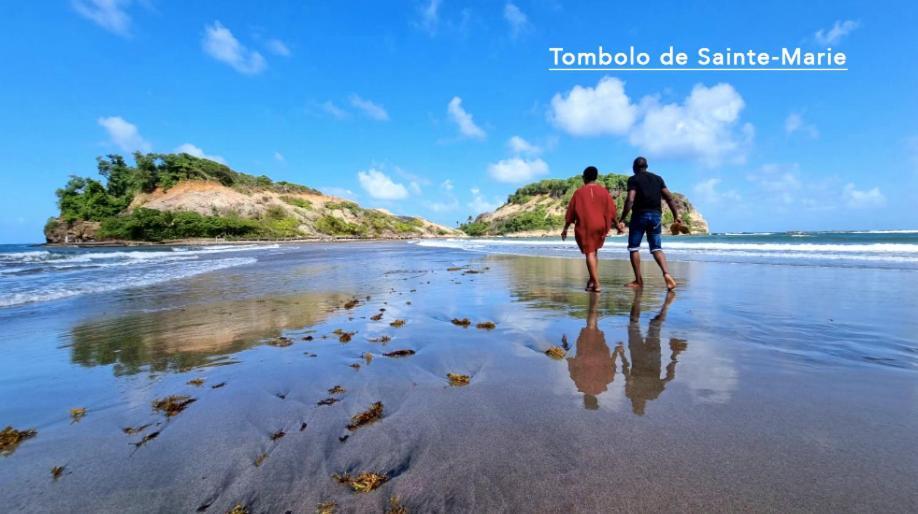 F3 Hibiscus - Piscine Chauffee - Vue Mer - 9 Min De La Plage - Ti Zwezo Paradi La Trinité Zewnętrze zdjęcie