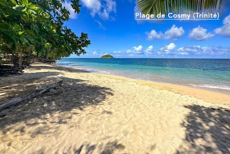 F3 Hibiscus - Piscine Chauffee - Vue Mer - 9 Min De La Plage - Ti Zwezo Paradi La Trinité Zewnętrze zdjęcie