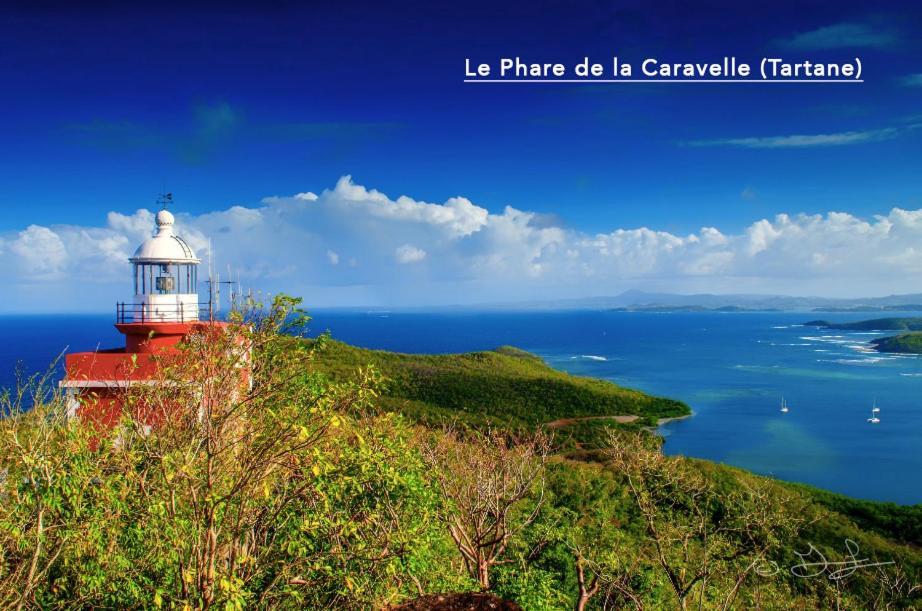 F3 Hibiscus - Piscine Chauffee - Vue Mer - 9 Min De La Plage - Ti Zwezo Paradi La Trinité Zewnętrze zdjęcie