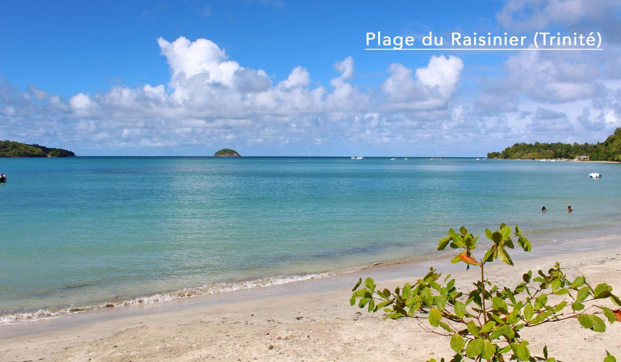 F3 Hibiscus - Piscine Chauffee - Vue Mer - 9 Min De La Plage - Ti Zwezo Paradi La Trinité Zewnętrze zdjęcie